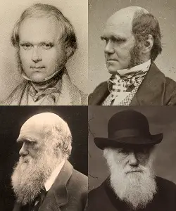 Four Faces of Charles Darwin