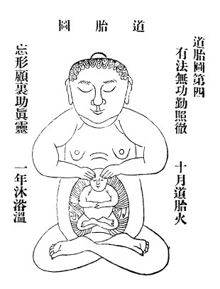 Development of the golden embryo in the lower dantian
 (lower torso) of the Taoist cultivator