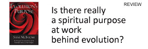 Is there a spiritual purpose behind evolution? Review of Steve McIntosh Evolution's Purpose by Frank Visser