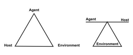 The epidemiological triad