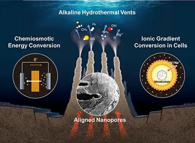 A deep-sea hydrothermal vent